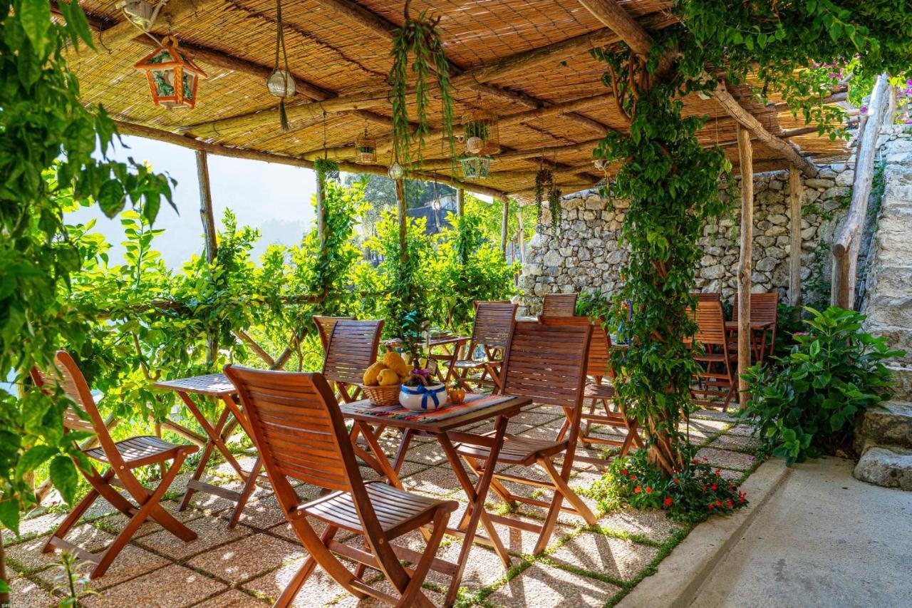 Poggio Angelarosa: Lemon Garden Stay&Relax 斯卡拉 外观 照片